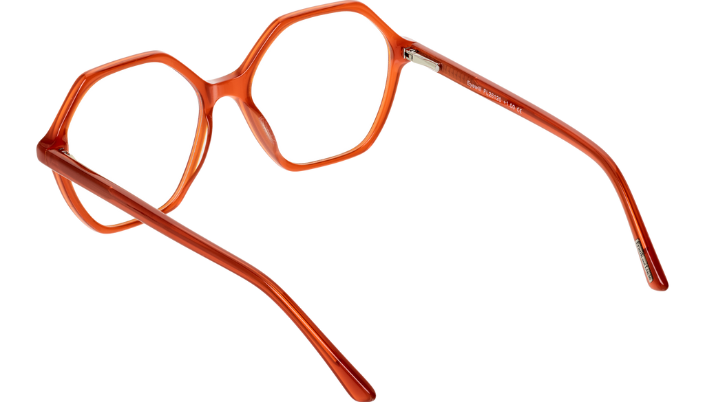 Back side picture of Frank and lucie Eyewill glasses in the color Roussillon